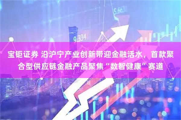 宝钜证券 沿沪宁产业创新带迎金融活水，首款聚合型供应链金融产品聚焦“数智健康”赛道