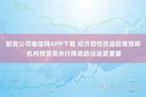 配资公司唯信网APP下载 经济韧性扰动政策预期 机构预警英央行降息路径迷雾重重