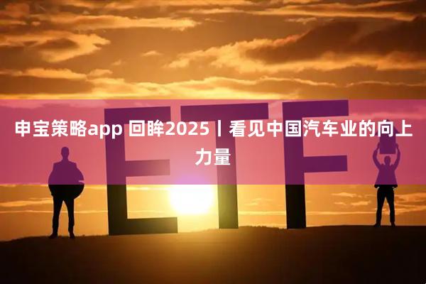申宝策略app 回眸2025丨看见中国汽车业的向上力量