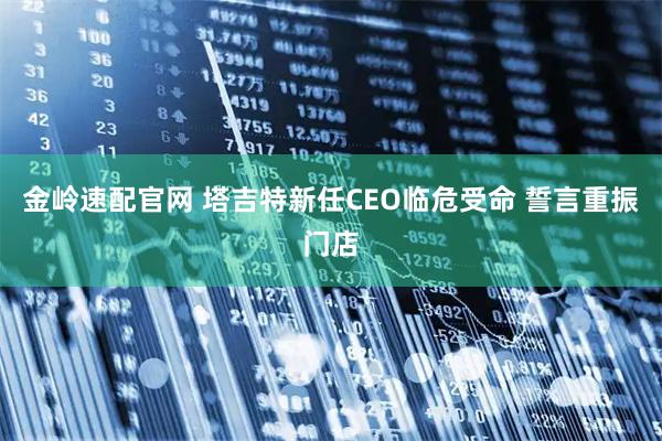 金岭速配官网 塔吉特新任CEO临危受命 誓言重振门店